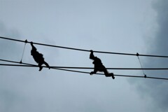 空中散歩