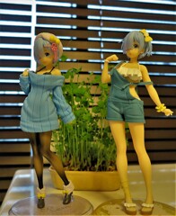 フィギュア