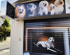 愛犬のフォトスタジオ