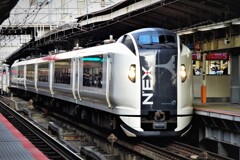成田エクスプレスＥ２５９系