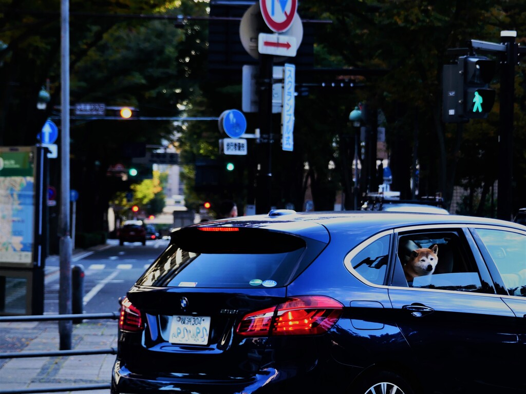 くうねるあそぶ