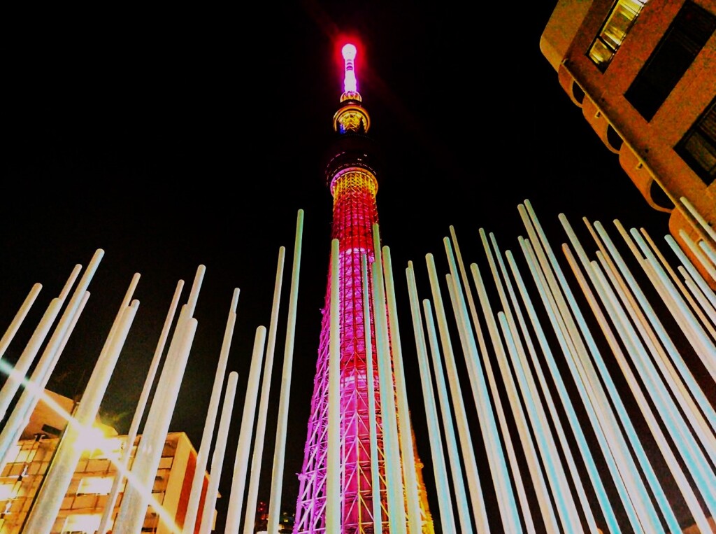 東京スカイツリー (1)