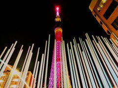 東京スカイツリー (1)