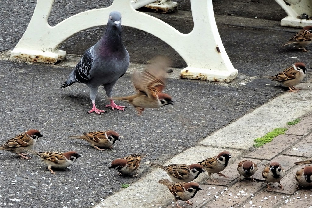驚ろかさないでよ！