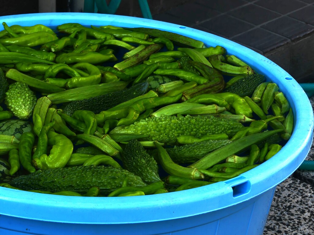 夏の思ひ出 (2)