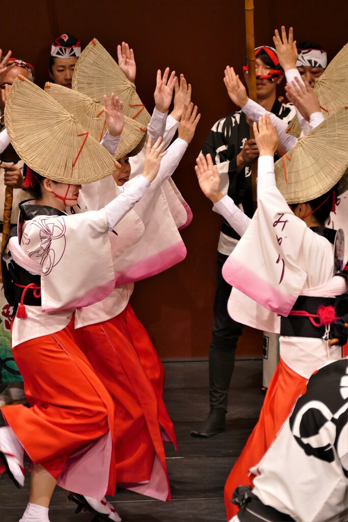 高円寺阿波おどり④