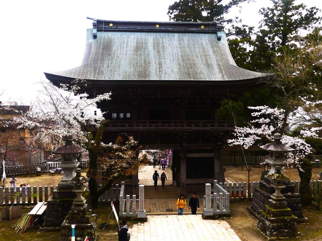 筑波山神社 (5)