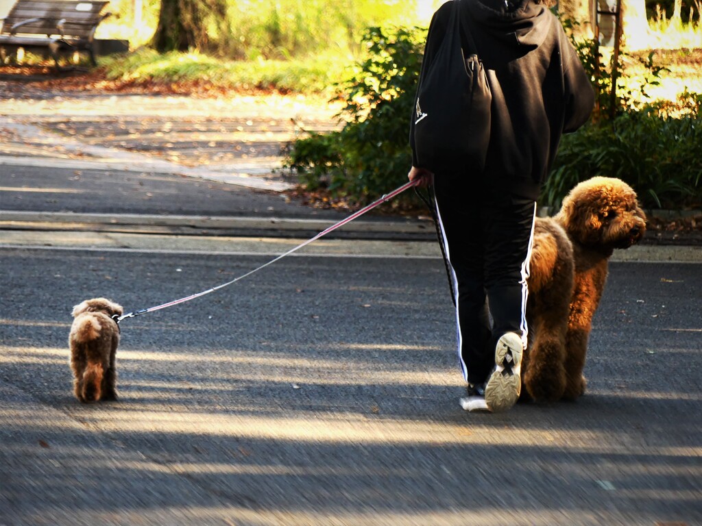 BIG ＆ small　