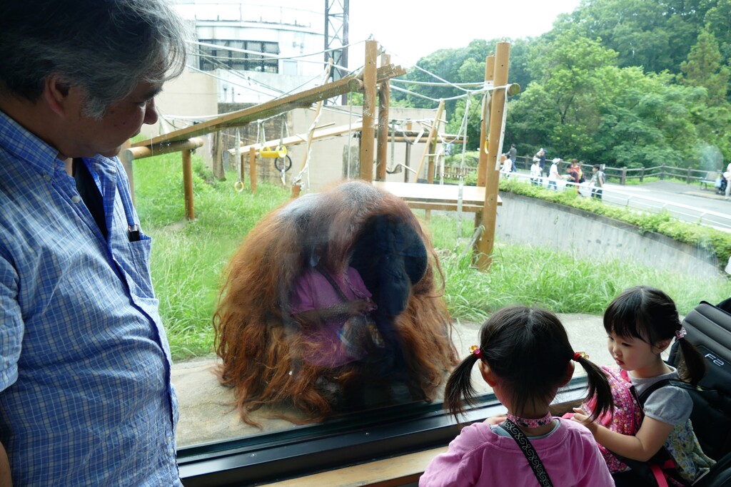 ねえ、遊ぼうよ！