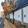 落ち葉の散歩道