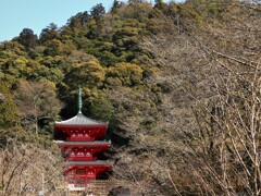 岐阜散策（岐阜公園） (2)