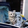 谷中ぎんざ⑫