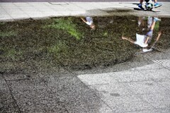 雨上がり