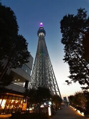 東京スカイツリー⑦