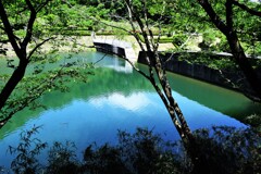 ダム湖にて (2)