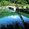 ダム湖にて (2)
