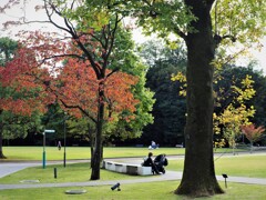 公園にて
