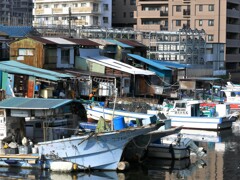 ④子安浜 (船溜まり)