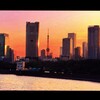 ある日の東京タワー (2)　
