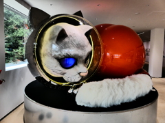 宇宙猫 (7)