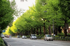 山下公園⑩