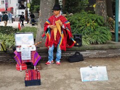 上野恩賜公園 ⑥ (フォルクローレ)