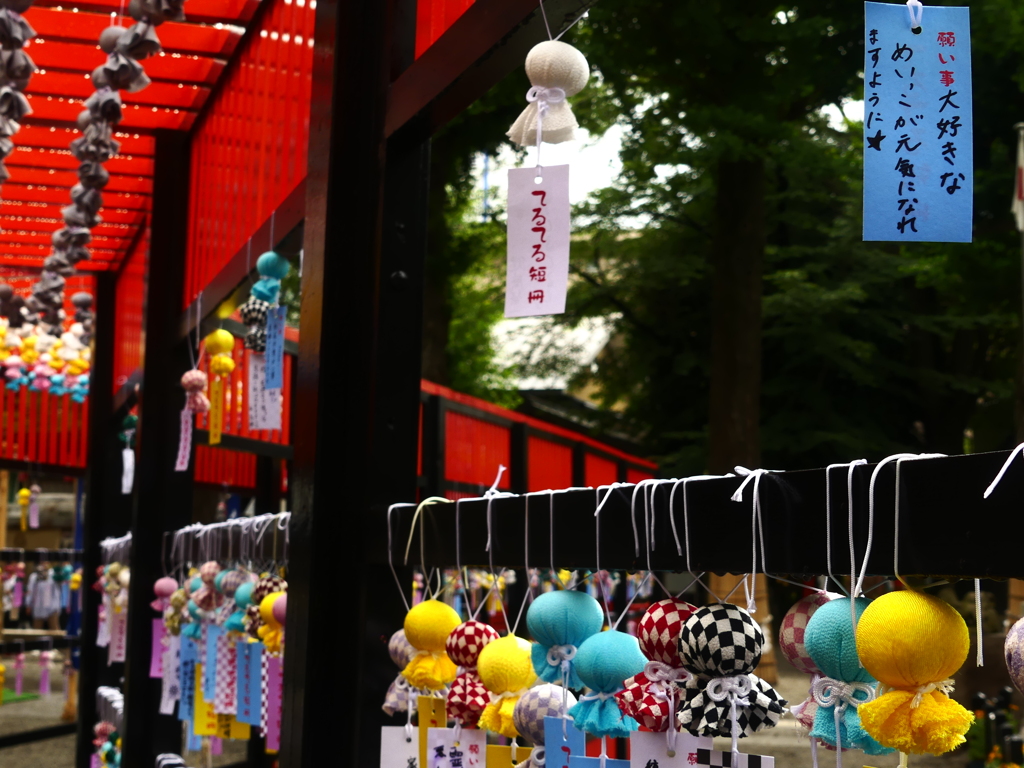 田無神社 (3)