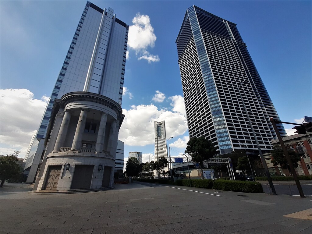 YOKOHAMA  NOBODY