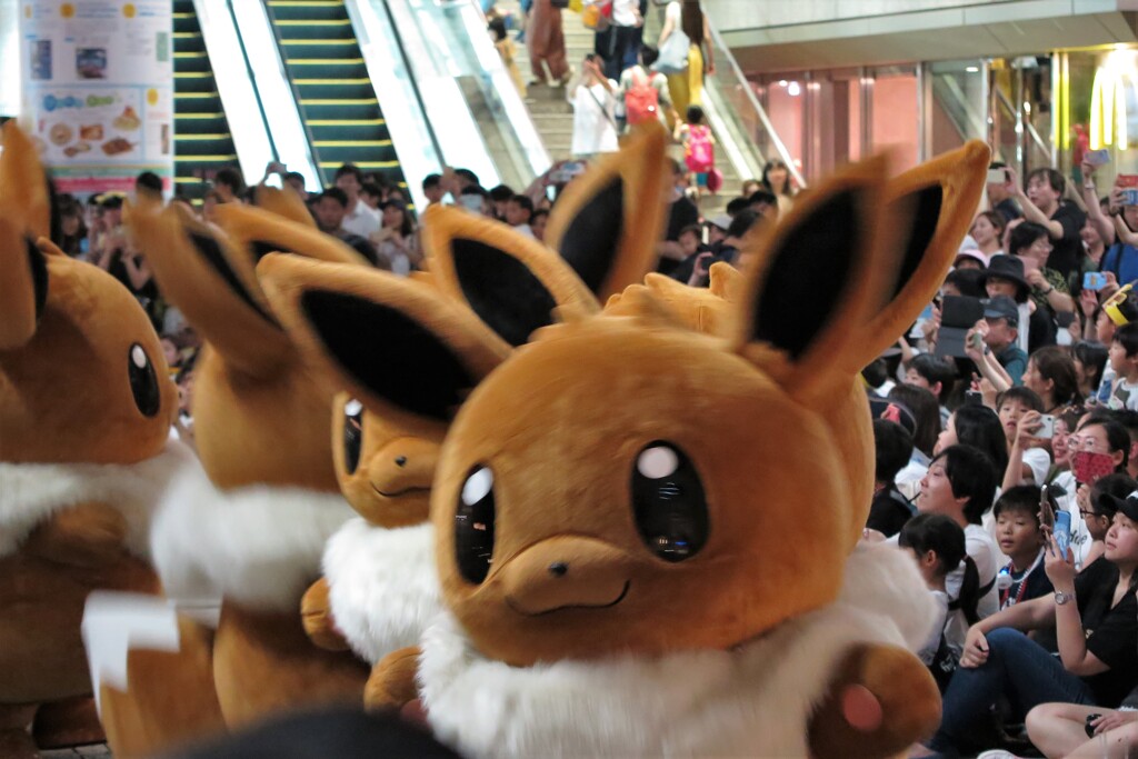 ピカチュー大量発生チュウ！2019④