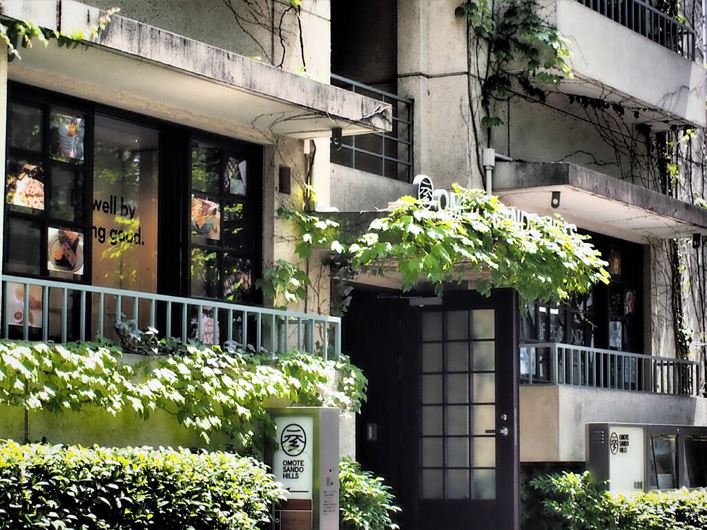 街角スケッチ／表参道・原宿 (26) 　