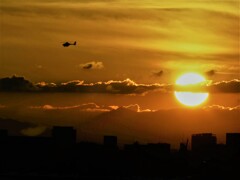 orange color③