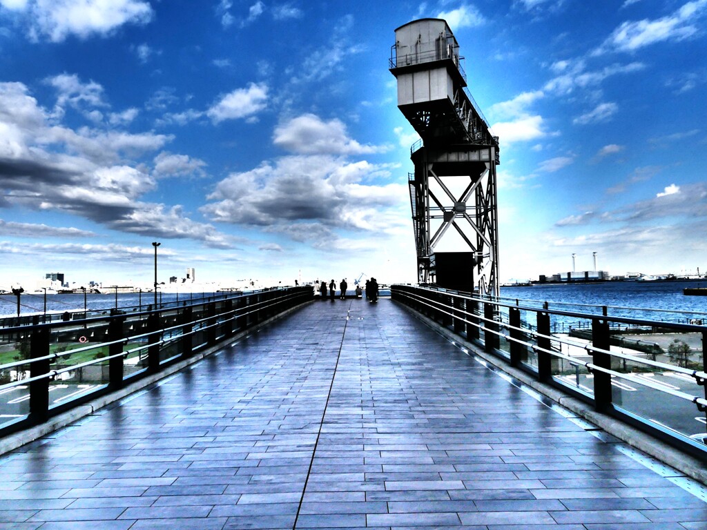 ハンマーヘッド (5)