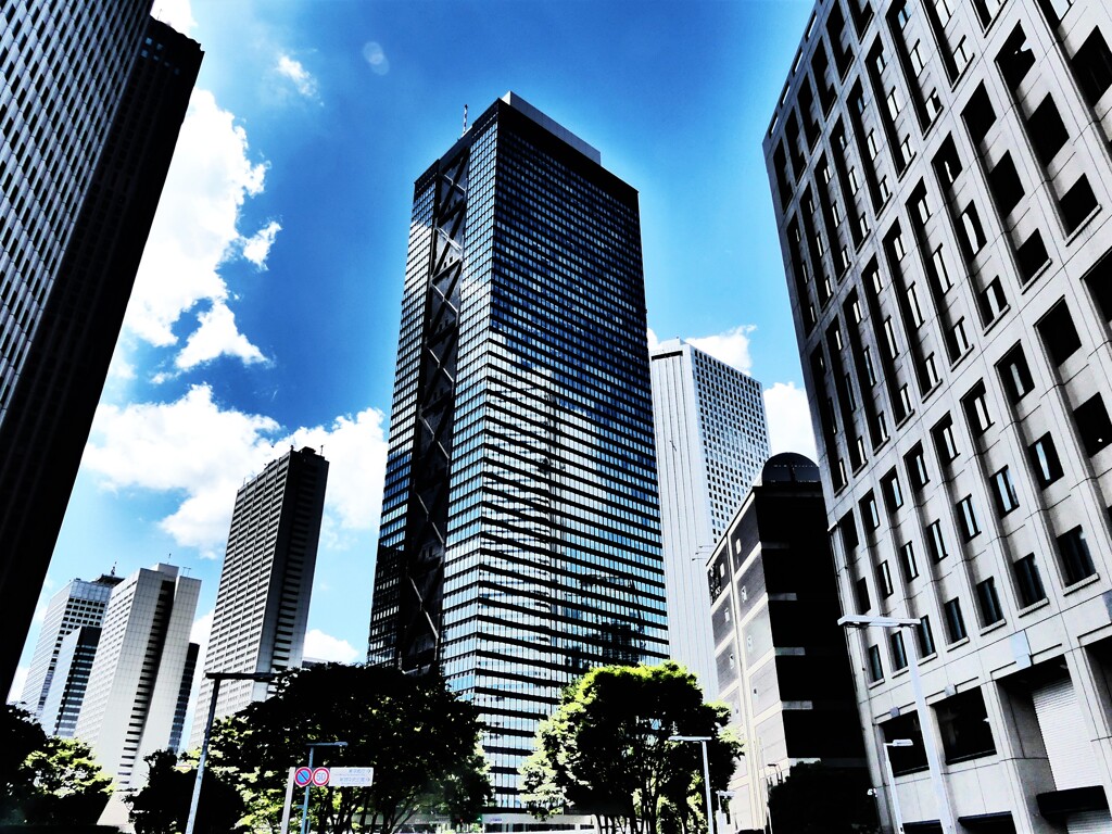 新宿 (2)