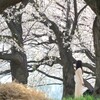 戸田漕艇場の春 (5)