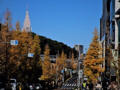 原宿駅前 