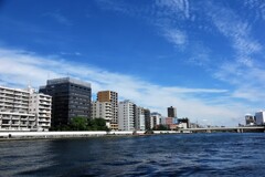 隅田川