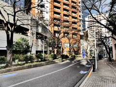 けやき坂 (2)