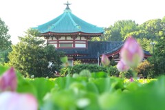 上野不忍池 (3)
