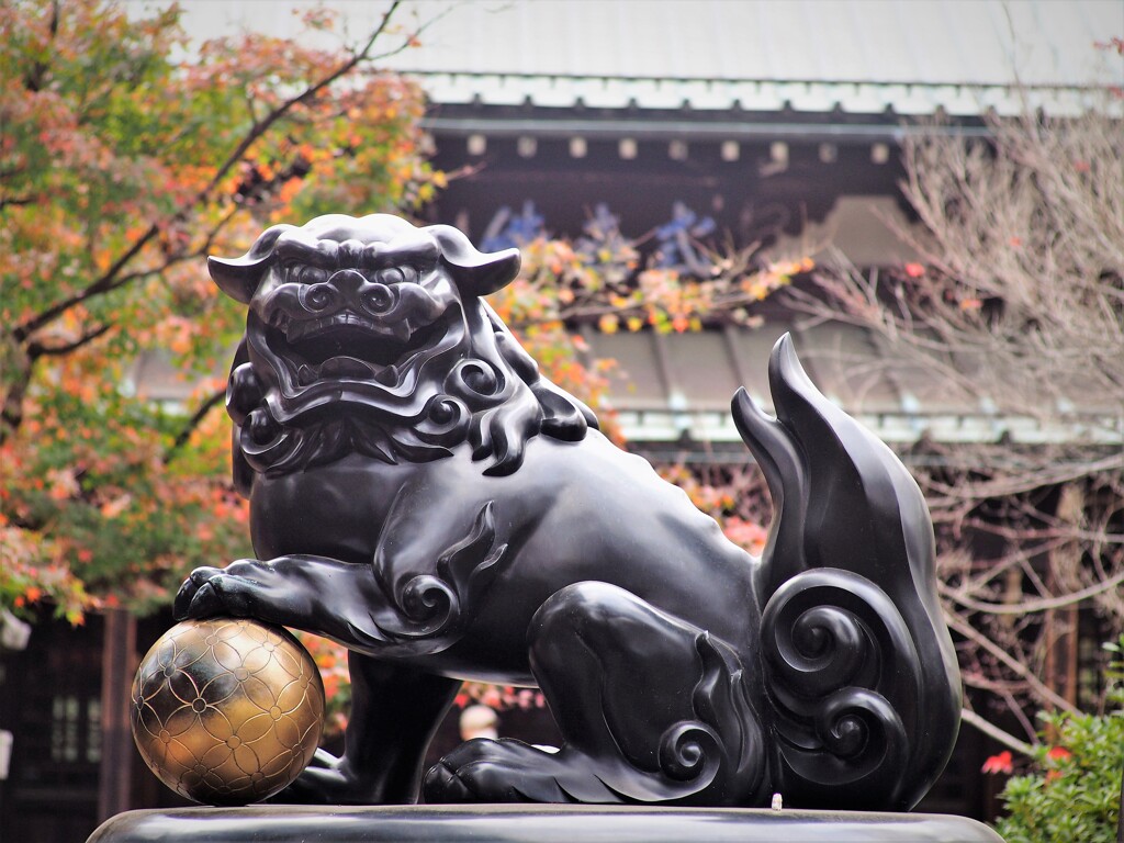 豪徳寺（狛犬）