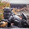 豪徳寺（狛犬）
