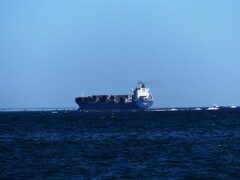 海を見ていた午後