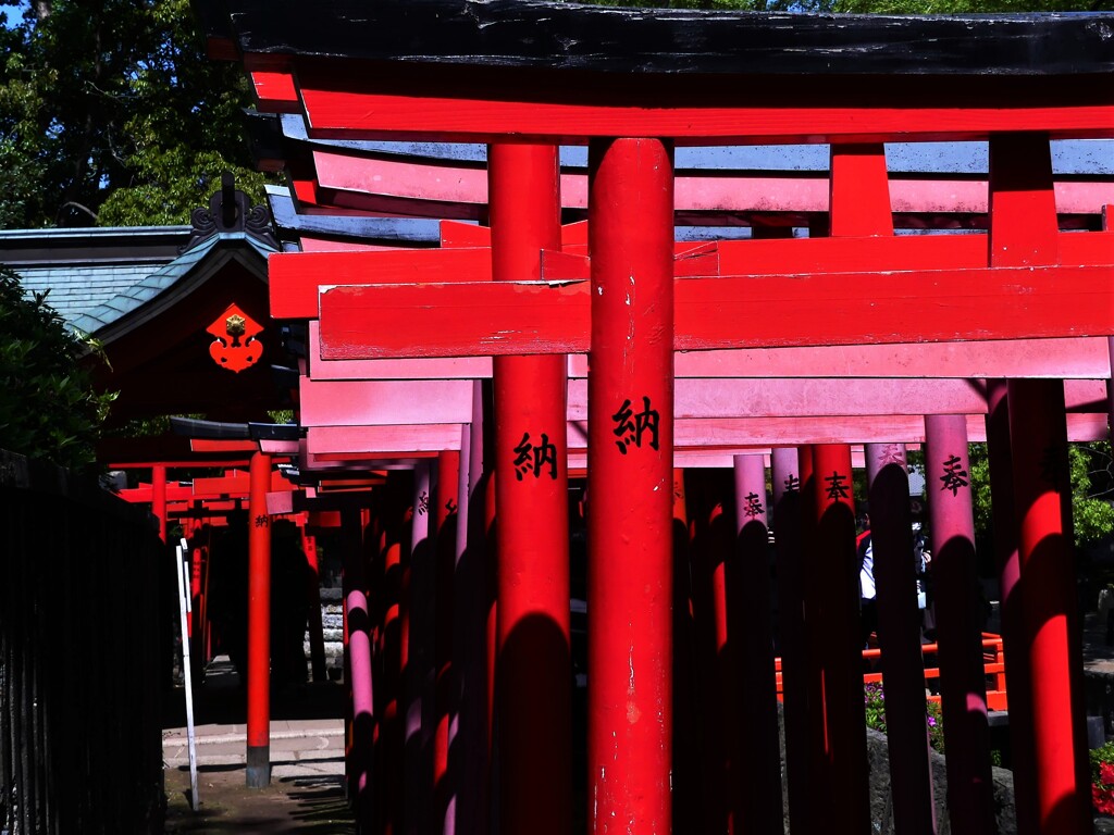 根津神社①