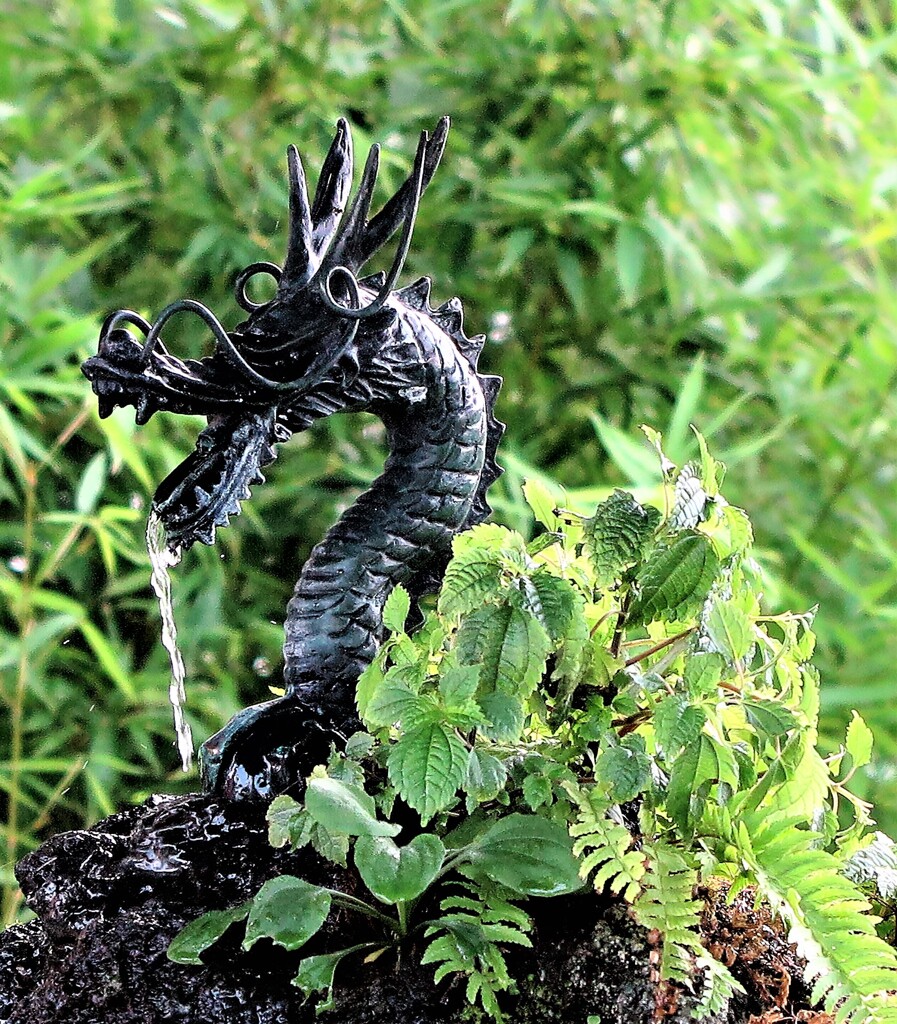 手水舎