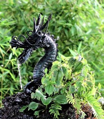 手水舎