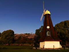 都立浮間公園 (1)