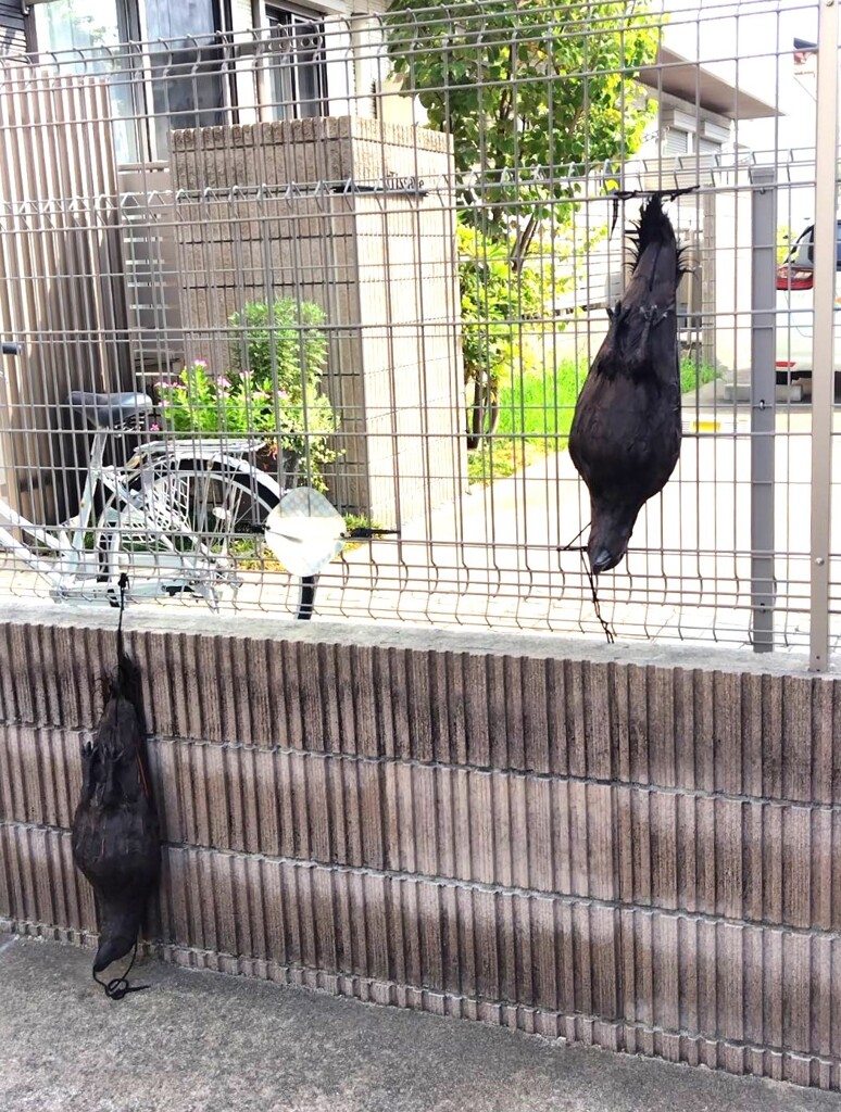 衝撃の光景