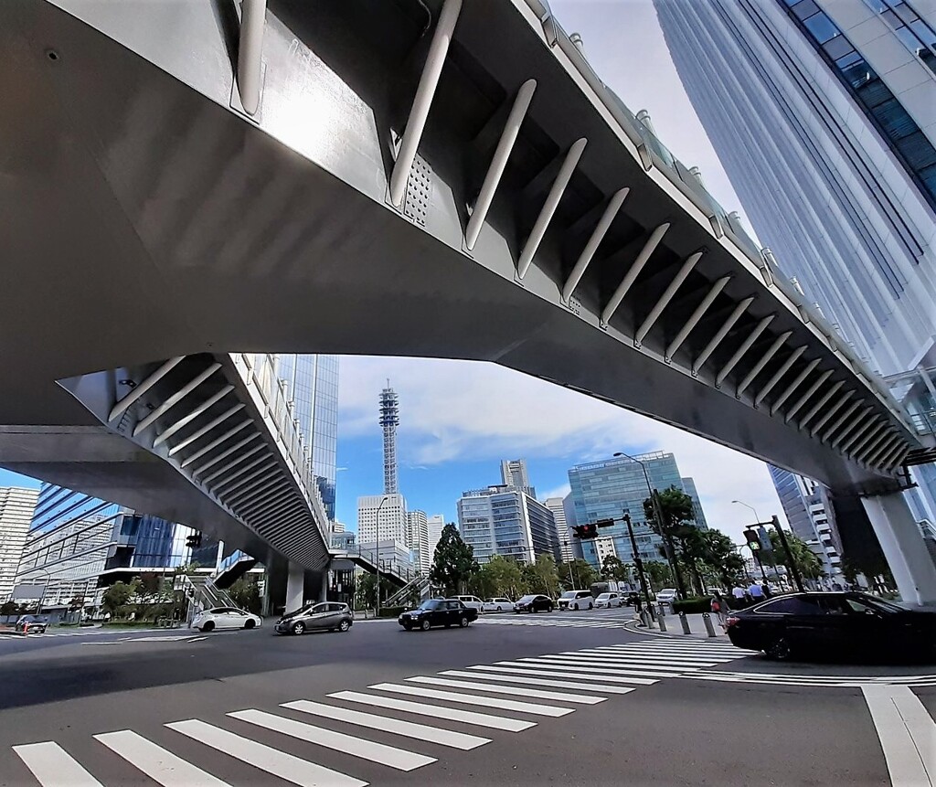 歩道橋下の世界②
