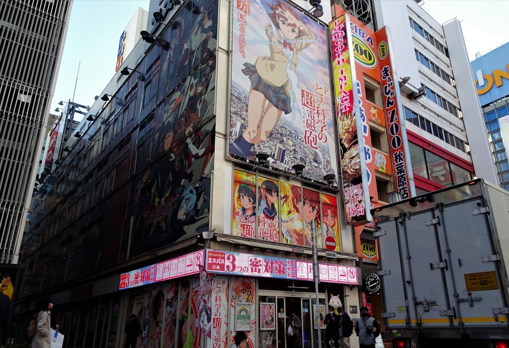 Akiba night & day (1)
