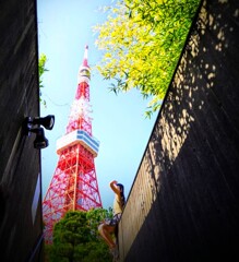ある日の東京タワー (1)　