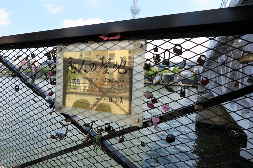 SUMIDA RIVER WALK (2)